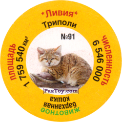 PaxToy 91 Триполи   Барханная кошка