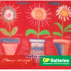 PaxToy 22 Цветочки в горшочках   Ксения, 9 лет