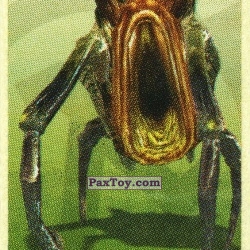 PaxToy ЧЕРНЫЙ ХЭАДКРАБ