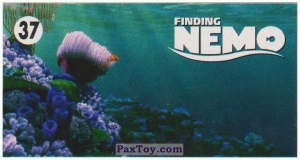 PaxToy.com 37 Marlin and Nemo из Start: Finding Nemo