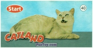 PaxToy.com  Карточка / Card 40 из Start: Catland