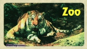PaxToy.com 03 Tiger (30мм Чистая подложка) из Жуйка: Zoo