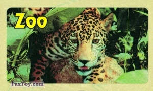 PaxToy.com 06 Jaguar (30мм Fasson) из Жуйка: Zoo