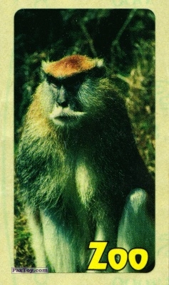 PaxToy.com 08 Monkey (30мм Fasson) из Жуйка: Zoo