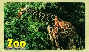 PaxToy.com 02 Giraffe (33мм Fasson) из Жуйка: Zoo