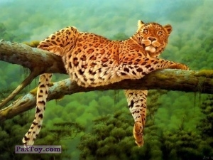 PaxToy (33мм) 09 Leopard Original