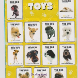 PaxToy 225264330 248837100