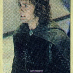 PaxToy 13 Pippin Took (Billy Boyd)