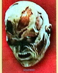PaxToy (Face in Red) 08