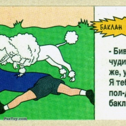 PaxToy Пудель (Очень узкая наклейка)