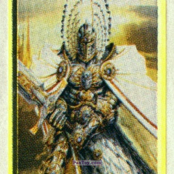 PaxToy (Жёлтая Рамка Серый контур) 01 Paladin
