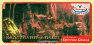 PaxToy.com 05 из Нептун: Властелин Колец Братство Кольца Часть Первая