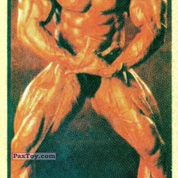 PaxToy 06 Kevin Levrone