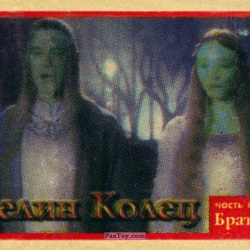 PaxToy 12 Celeborn and Galadriel