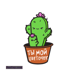 PaxToy 12 Ты мой цветочек