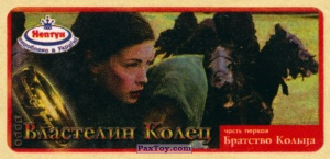 PaxToy.com 13 Arwen Undomiel (Liv Tyler) из Нептун: Властелин Колец Братство Кольца Часть Первая