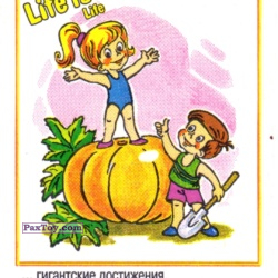 PaxToy Life is... Life   3 5