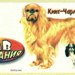 PaxToy Кинг Чарлз спаниель