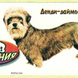 PaxToy Денди файмонд терьер