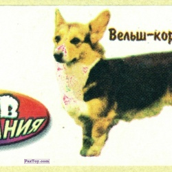 PaxToy Вельш корги пемброк