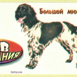 PaxToy Большой мюнстенлендер