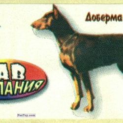 PaxToy Доберман пинчер