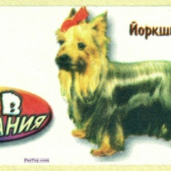 PaxToy Йоркшир терьер