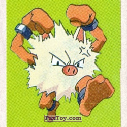PaxToy 30 Primeape