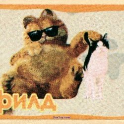 PaxToy 03.3 Гарфилд и кот (Звезда+белый фон)