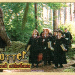 PaxToy 15.2 Students (Звезда)