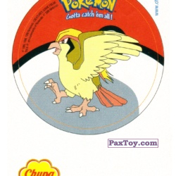 PaxToy 18 Пиджо