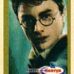 PaxToy (Горчичная рамка) 08 Harry Potter