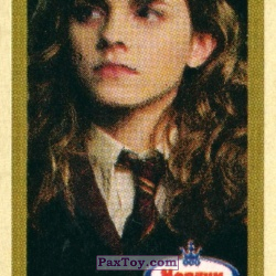 PaxToy (Горчичная рамка) 09 Hermione Granger