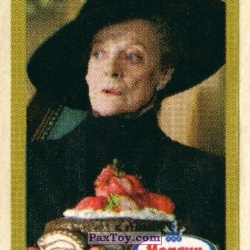 PaxToy (Горчичная рамка) 11 Minerva McGonagall