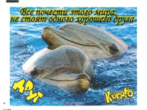 PaxToy 04 Дельфины