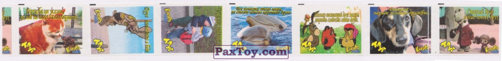 PaxToy Лента Жуйка Квадро Друг