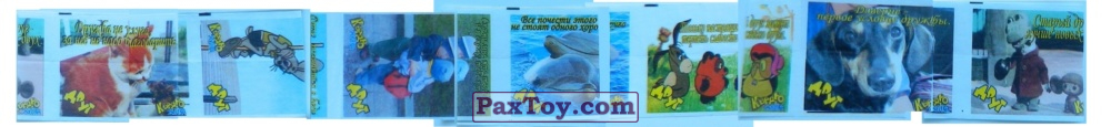 PaxToy соеденил