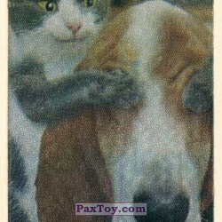 PaxToy 05 Собака не смотри
