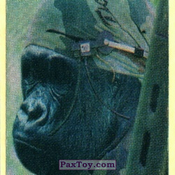 PaxToy 07.1 Воин Гарила