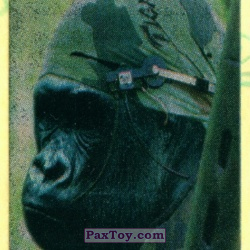 PaxToy 07.2 Воин Гарила (Звёздочка)