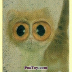 PaxToy 08 Котёнок с большими глазами