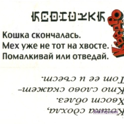 PaxToy 01 Кошка