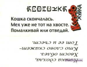 PaxToy.com 01 Кошка из Квадро Жуйка: Японская