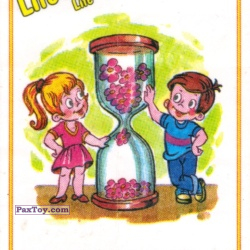 PaxToy Life is... Life   7510