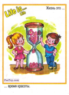 PaxToy Life is... Life   7510