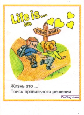 PaxToy Life is... Life   8004 (Узкая Детки моложе)
