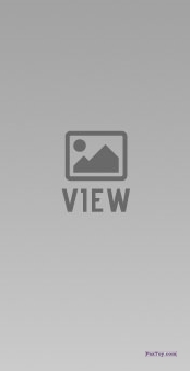 PaxToy.com no_logo_2 из Жевательная резинка: Приключения Леди и Бродяги