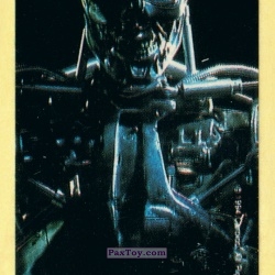PaxToy 03.2