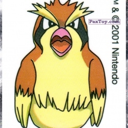 PaxToy 16 Pidgey