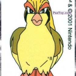 PaxToy 18 Pidgeot